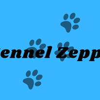 zeppo logo